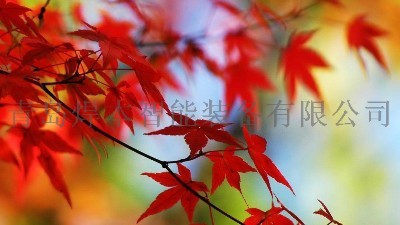 二十四節氣—秋分